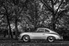 Classic Porsche 356 #15 - Pacific Coast Gallery