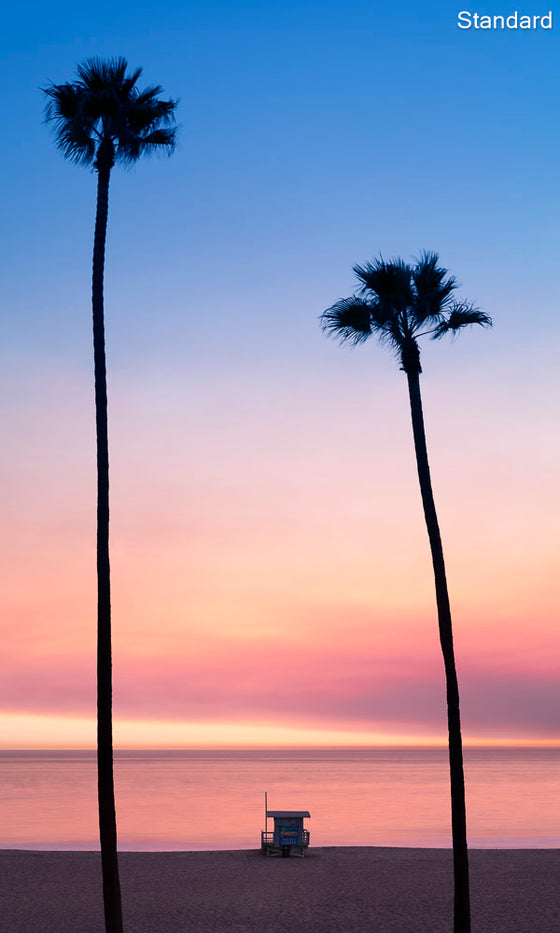 A photo of palm trees and a lifeguard tower in Hermosa Beach / Manhattan Beach (Los Angeles California) at sunset.