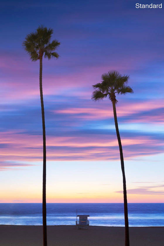 A photo of palm trees and a lifeguard tower in Hermosa Beach / Manhattan Beach (Los Angeles California) at sunset.