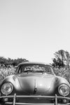 Classic Porsche 356 #32 - Pacific Coast Gallery
