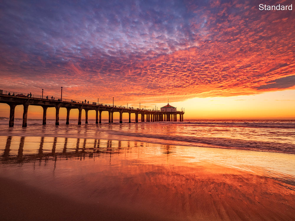 Bold Colors – Pacific Coast Gallery + Home