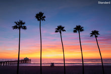  A panoramic photo of five palm trees, the Manhattan Beach Pier, and a lifeguard tower in Manhattan Beach (Los Angeles California) at sunset.