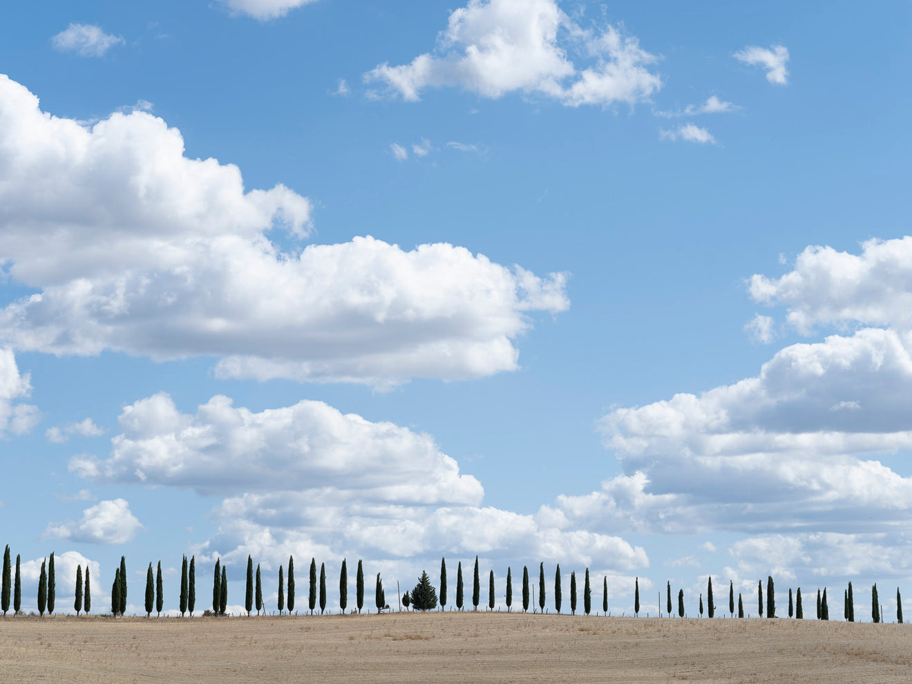 Italy Collection, Color and Black & White, Triptychs – Pacific