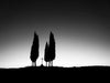 Black and white photo of cypress trees surrounding a cross in Tuscany Italy