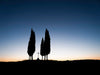 Cypress trees surrounding a cross with a blue sky at dawn, before sunrise, in Tuscany Italy