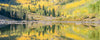 A horizontal panoramic photograph of a mountain valley filled with Aspen and pine trees in Colorado during the fall