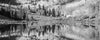 A horizontal panoramic photograph of a mountain valley filled with Aspen and pine trees in Colorado during the fall, in black and white
