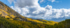 This is a horizontal panoramic photograph of a mountain valley featuring aspen trees and dramatic clouds in Colorado during the fall time as the leaves were changing color