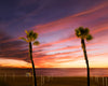 manhattan beach sunset and blue hour, with red clouds, a deep blue sky with stars, two palm trees, volleyball courts and a lifeguard tower