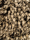 clam and barnacles abstract photo on manhattan beach pier piling
