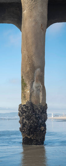  a piling under the Manhattan Beach pier, covered in barnacles, vertical panoramic format