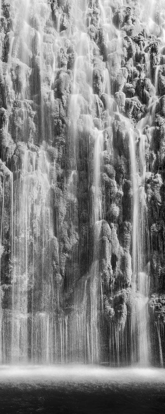 moss covered waterfall, vertical panoramic, in black and white