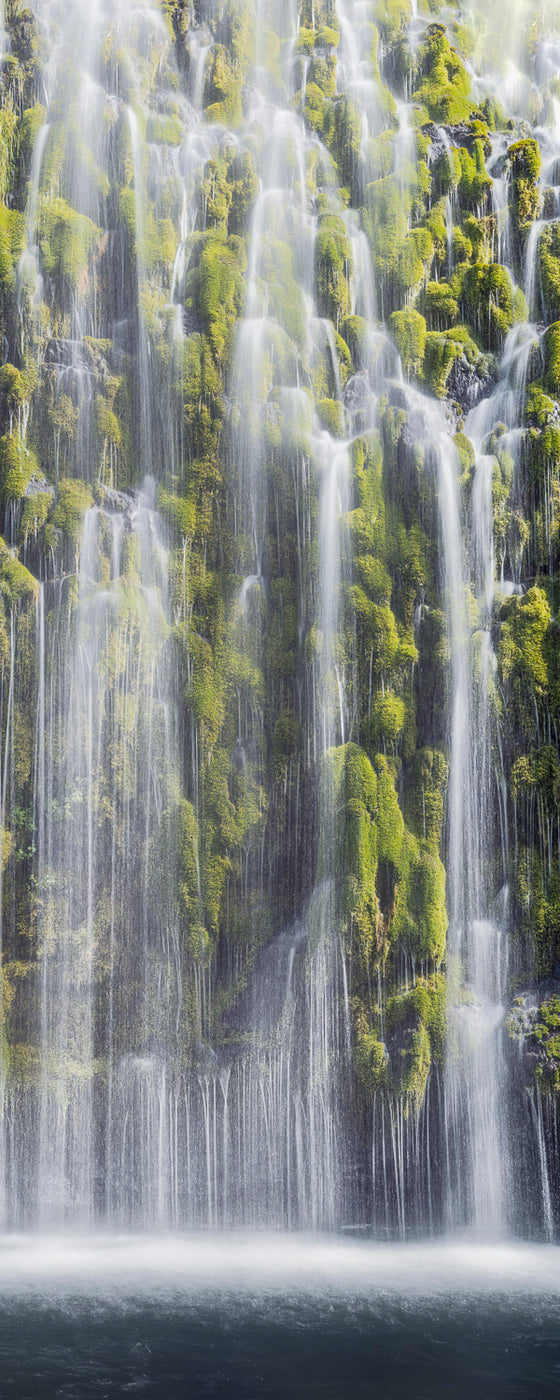 moss covered waterfall, vertical panoramic