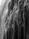 This is a photo of a mossy, green waterfall with water dripping down in black and white.
