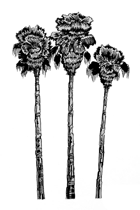 Palm Tree Study #3