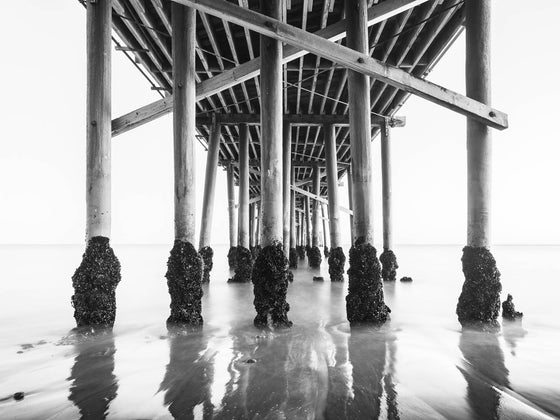 under the malibu pier, in black and white