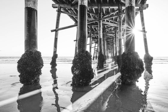 under the Newport Beach pier, low tide, black and white